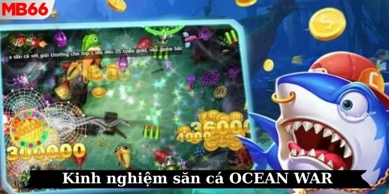 Kinh nghiệm săn cá OCEAN WAR tăng cơ hội thắng xu lớn